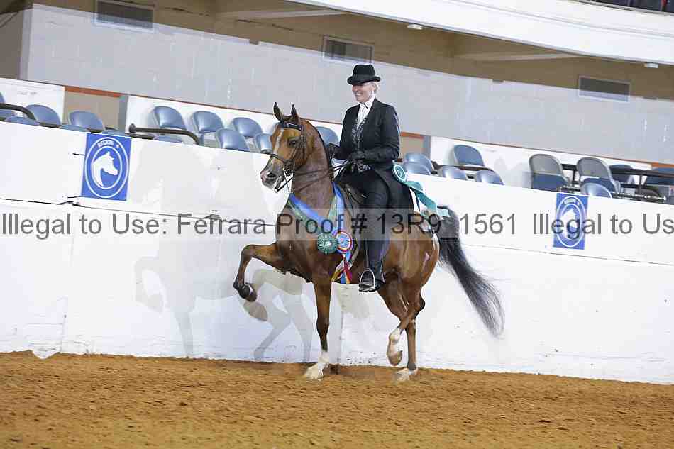 Proof Number 13r9_1561