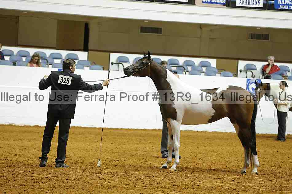 Proof Number 13r9_1634