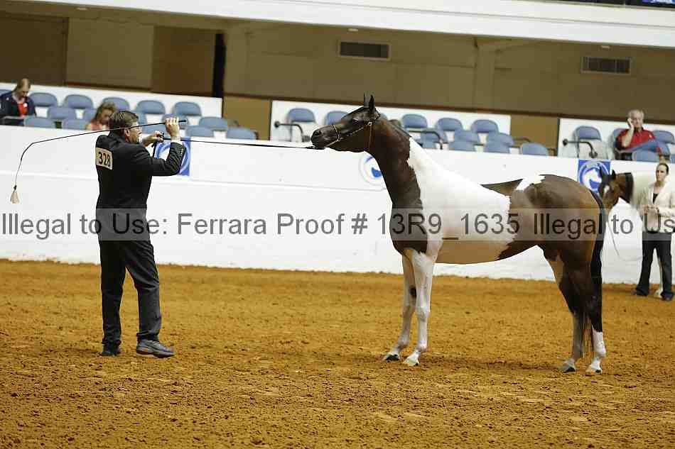 Proof Number 13r9_1635