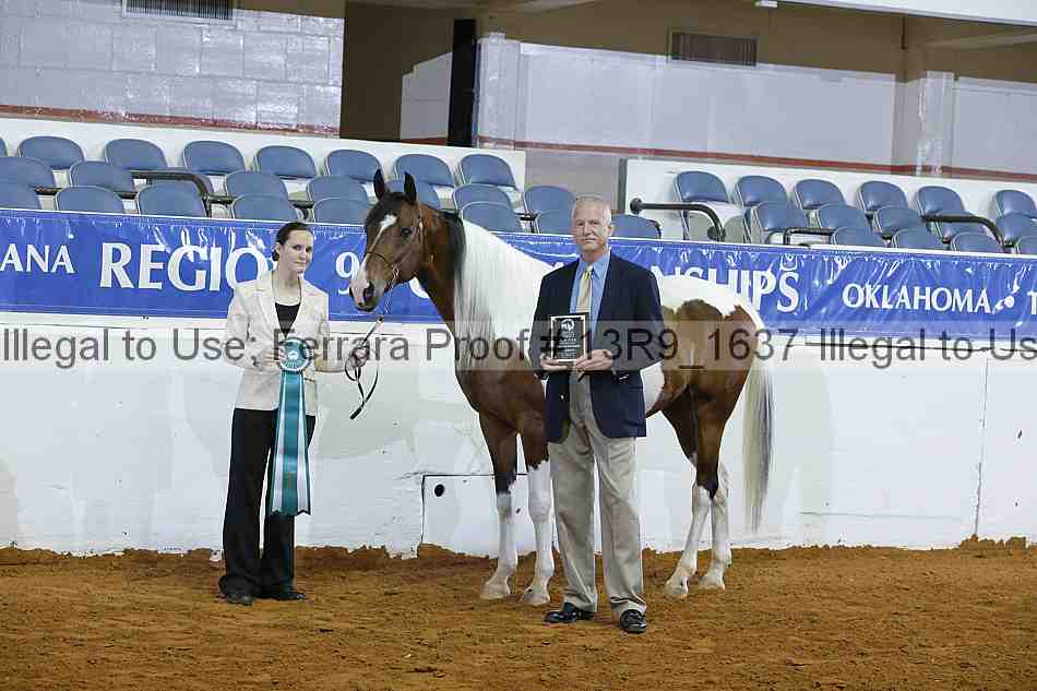 Proof Number 13r9_1637