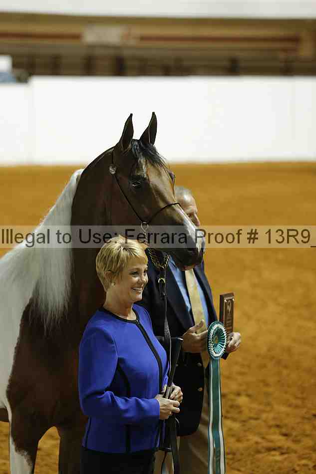 Proof Number 13r9_1645