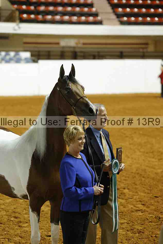 Proof Number 13r9_1646