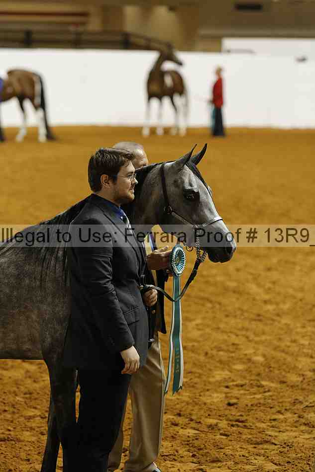 Proof Number 13r9_1652