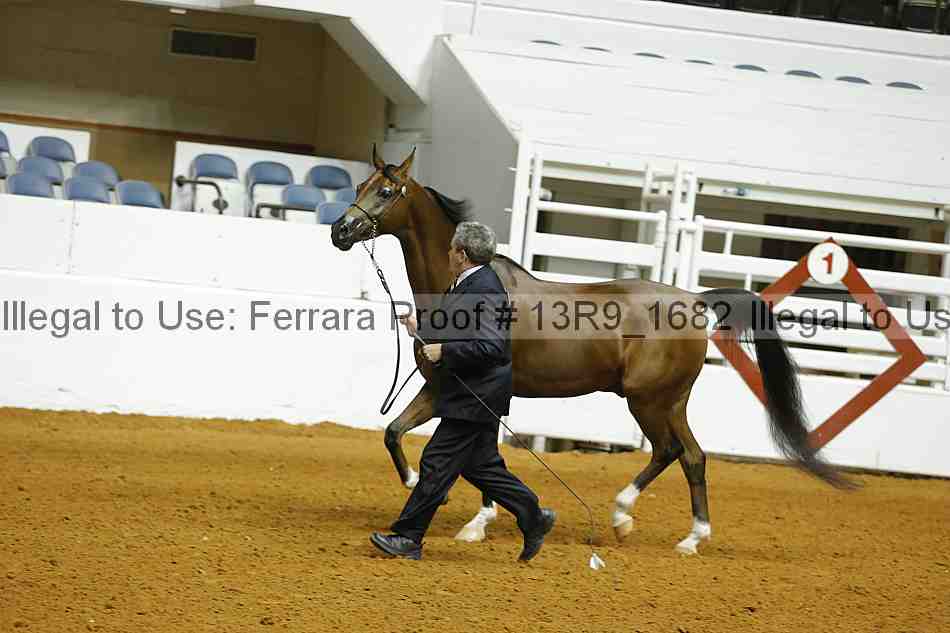 Proof Number 13r9_1682