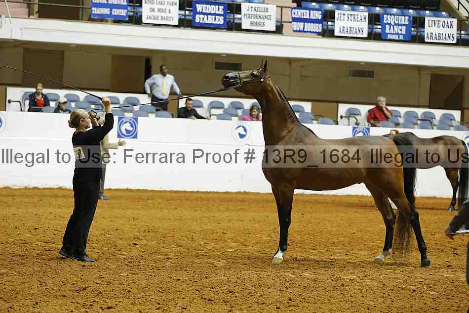 Proof Number 13r9_1684