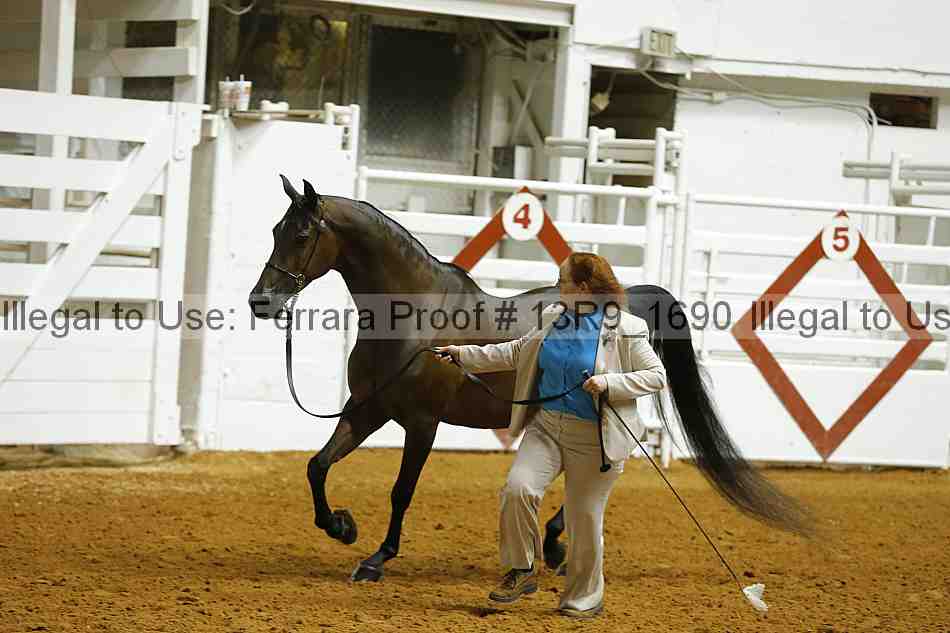 Proof Number 13r9_1690