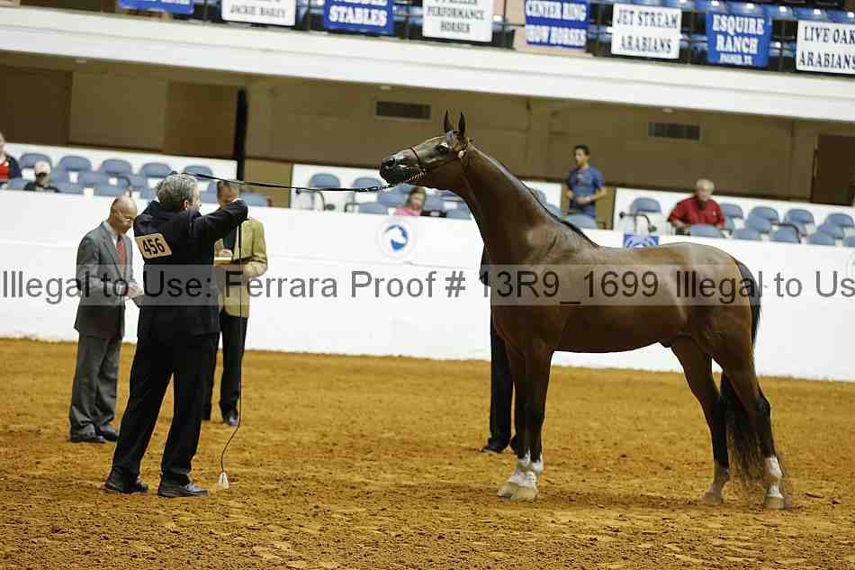 Proof Number 13r9_1699