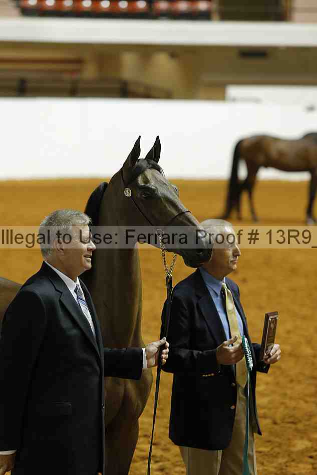 Proof Number 13r9_1716