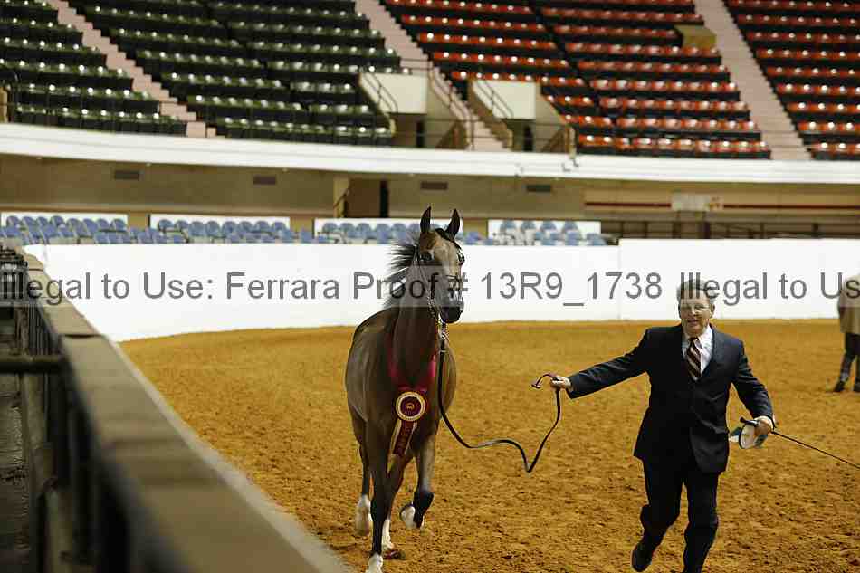 Proof Number 13r9_1738