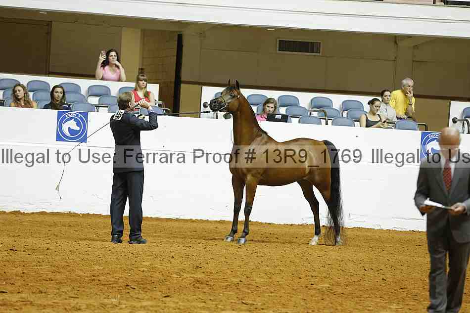 Proof Number 13r9_1769