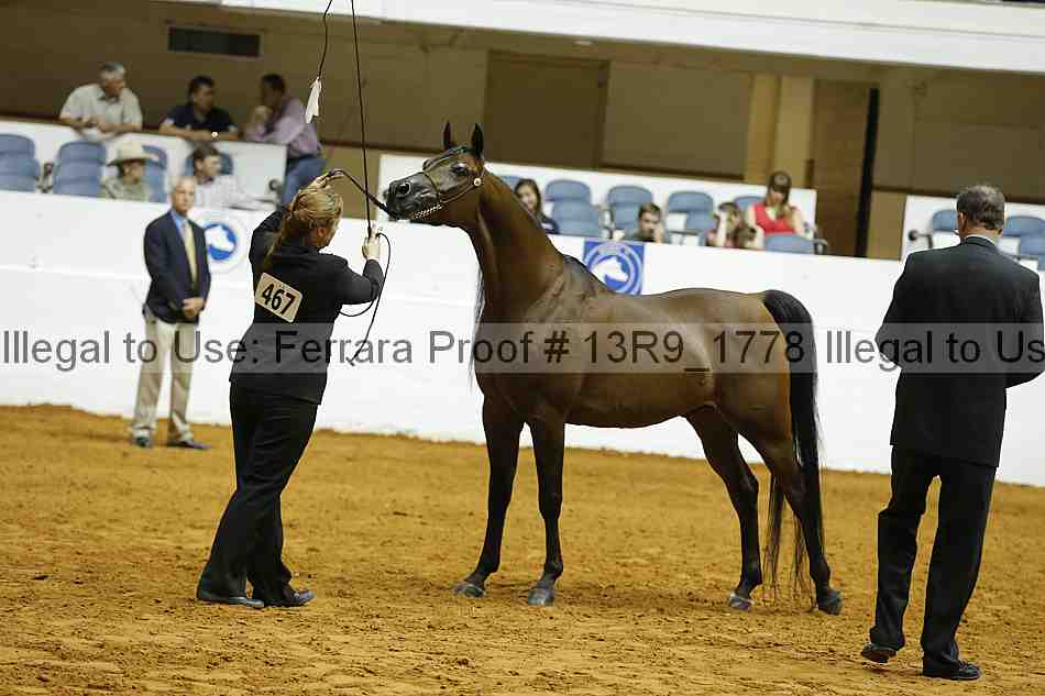 Proof Number 13r9_1778