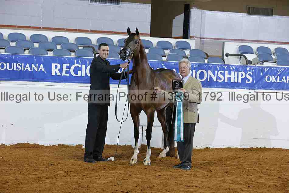 Proof Number 13r9_1792