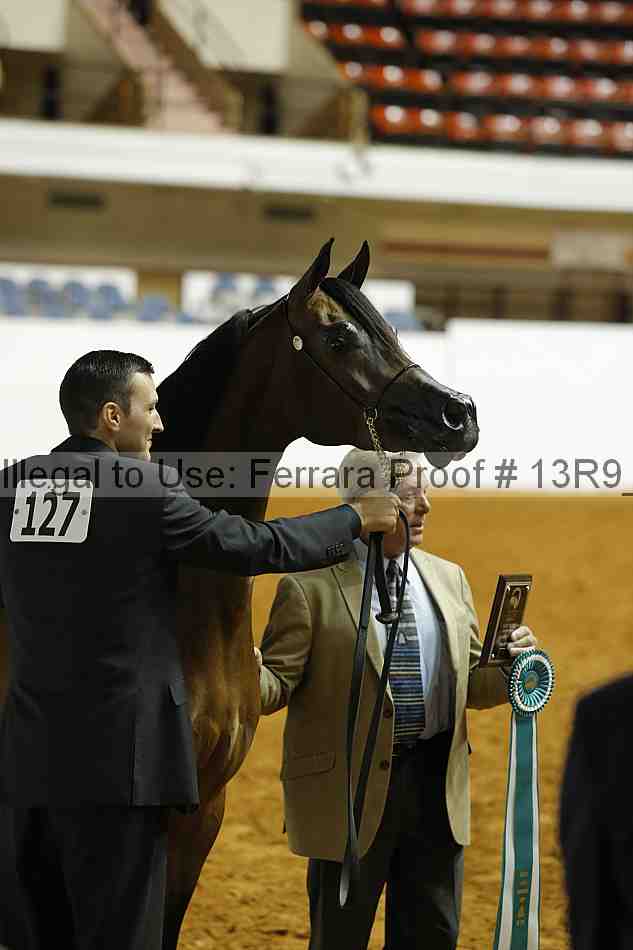 Proof Number 13r9_1795