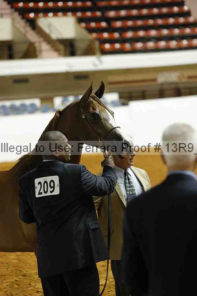 Proof Number 13r9_1802