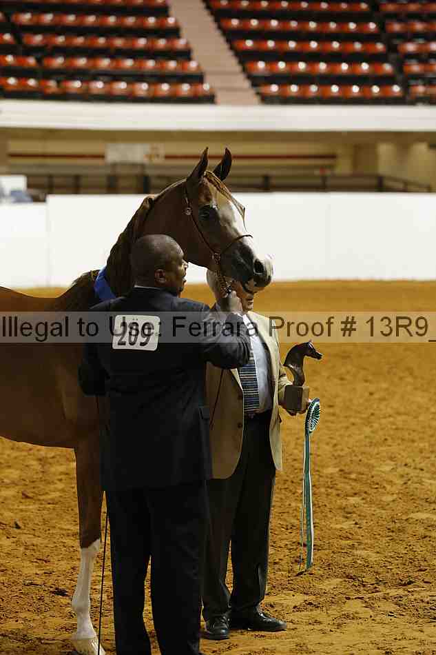 Proof Number 13r9_1816