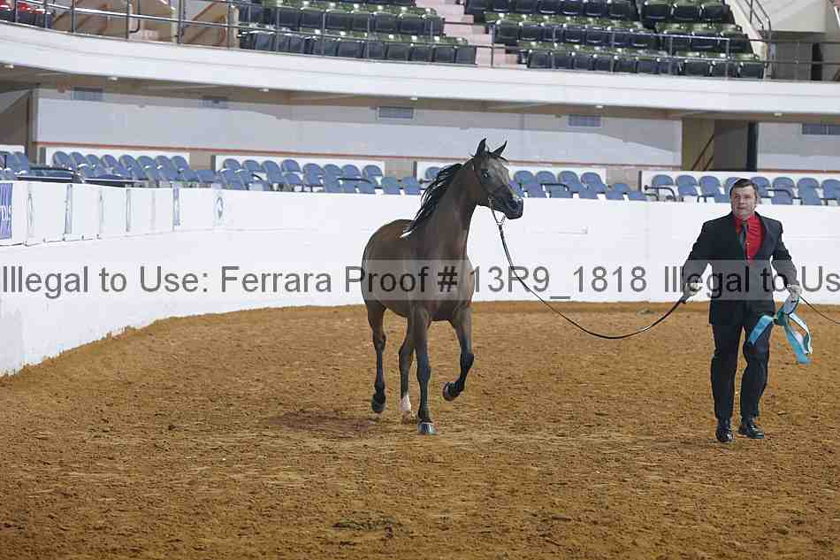 Proof Number 13r9_1818