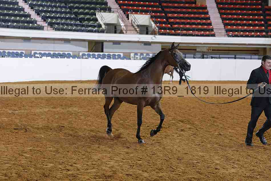 Proof Number 13r9_1819