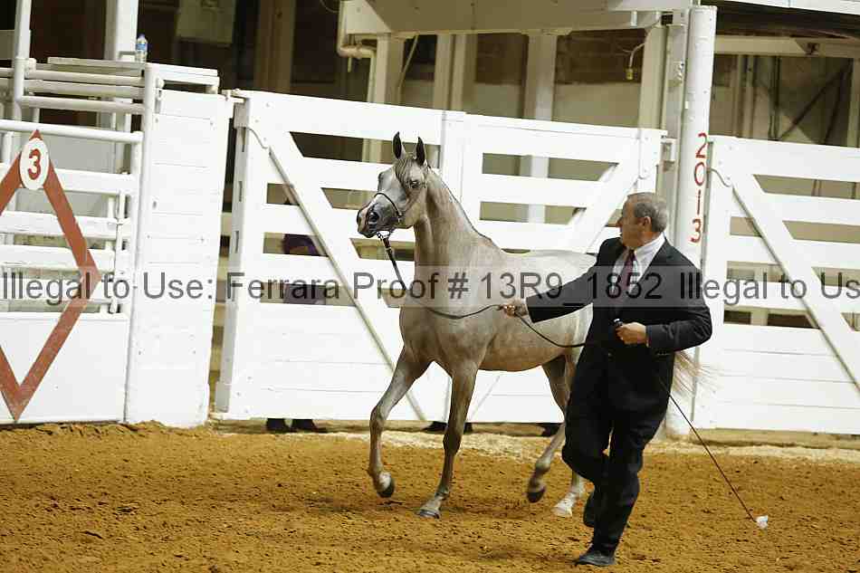 Proof Number 13r9_1852