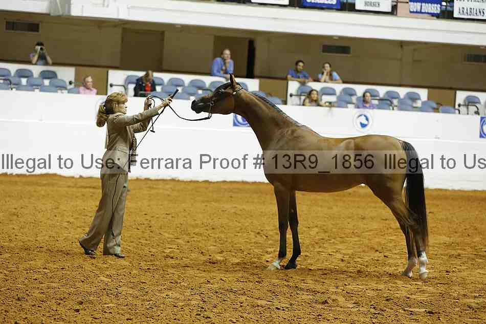 Proof Number 13r9_1856