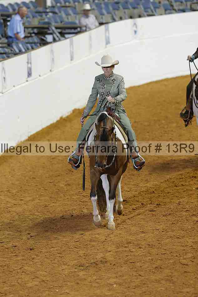 Proof Number 13r9_1910