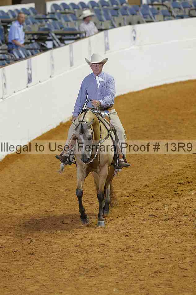 Proof Number 13r9_1918