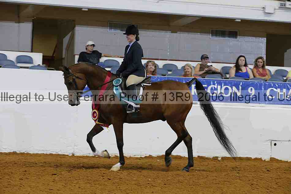 Proof Number 13r9_2006