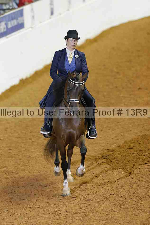 Proof Number 13r9_2039
