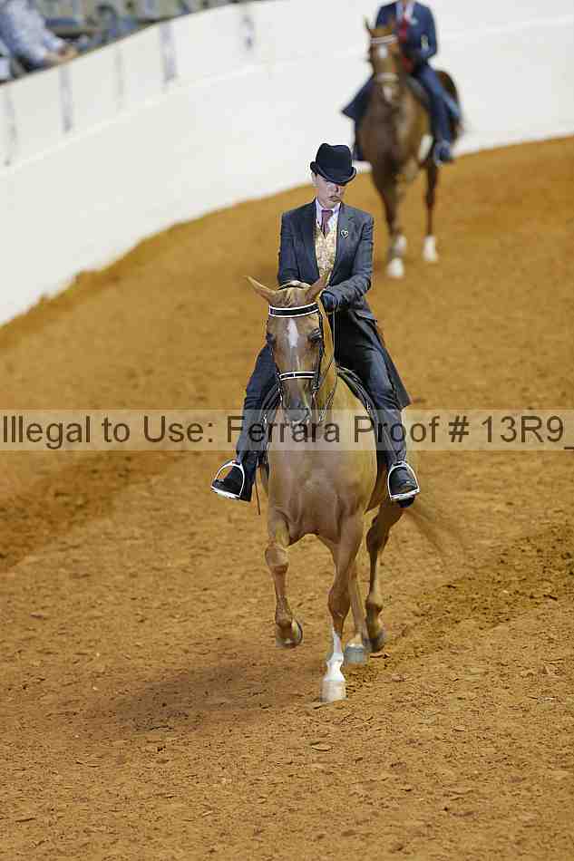Proof Number 13r9_2046