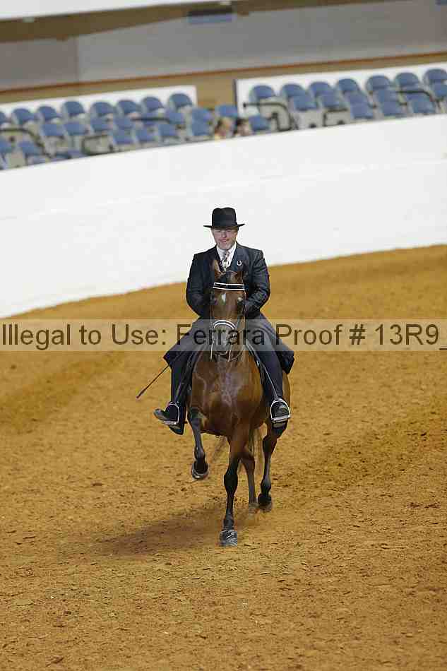 Proof Number 13r9_2051