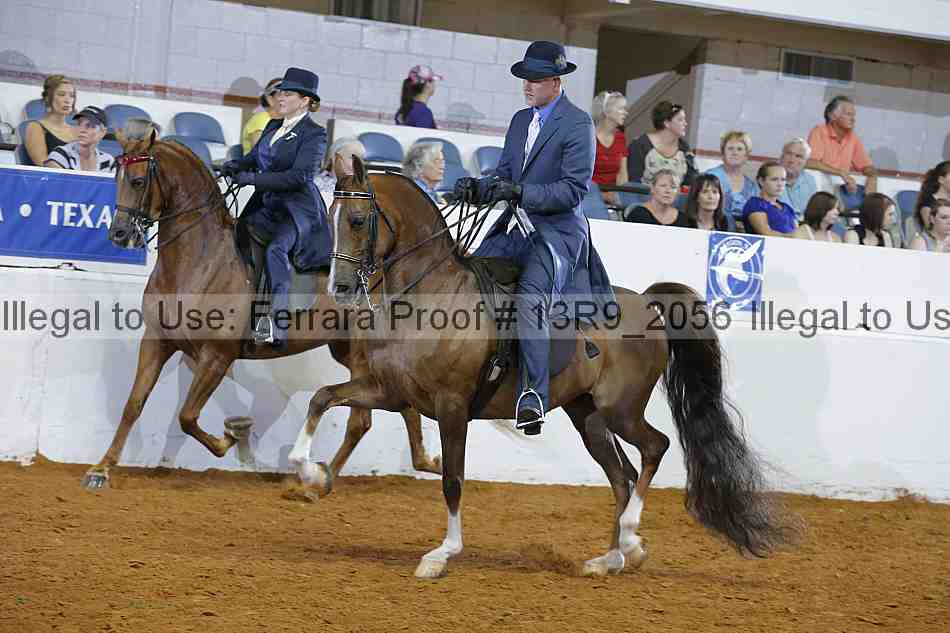 Proof Number 13r9_2056