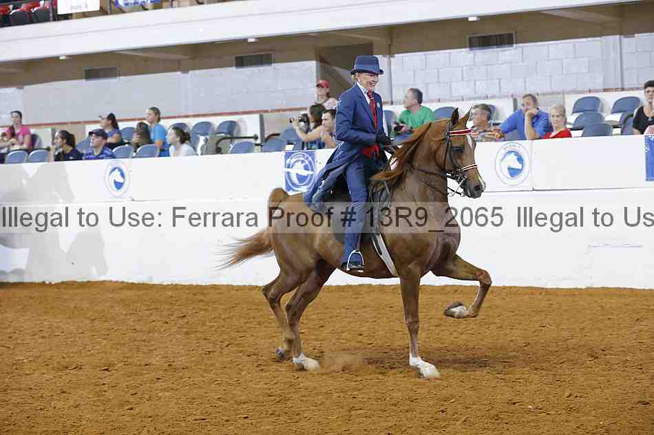 Proof Number 13r9_2065