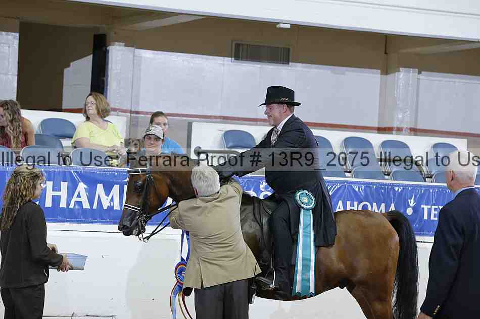 Proof Number 13r9_2075
