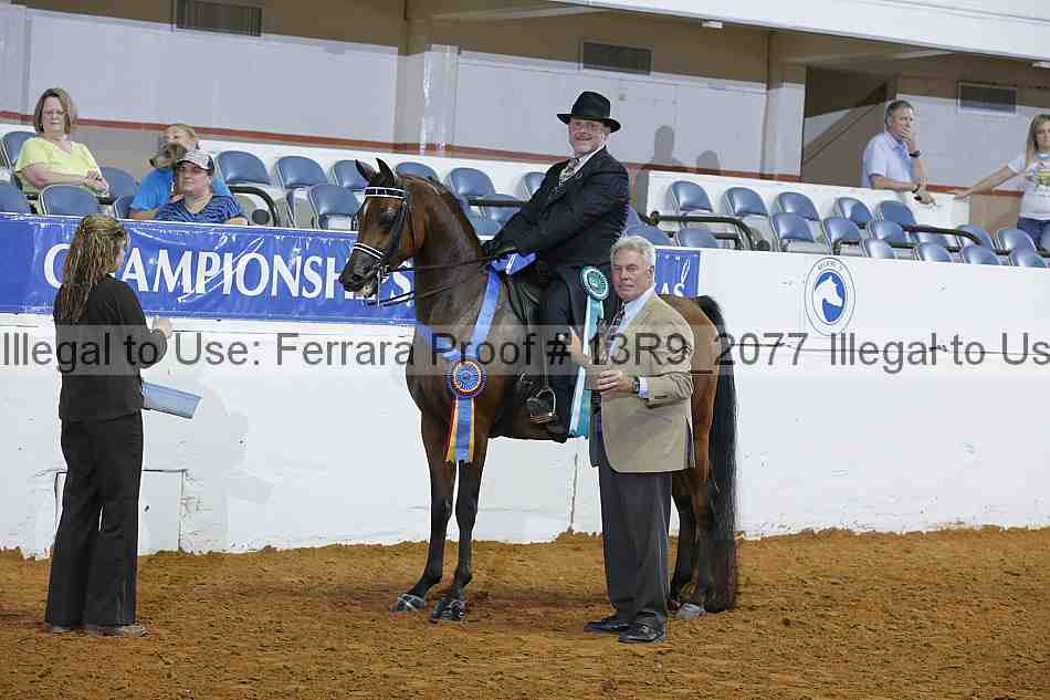 Proof Number 13r9_2077
