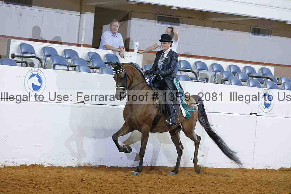 Proof Number 13r9_2081