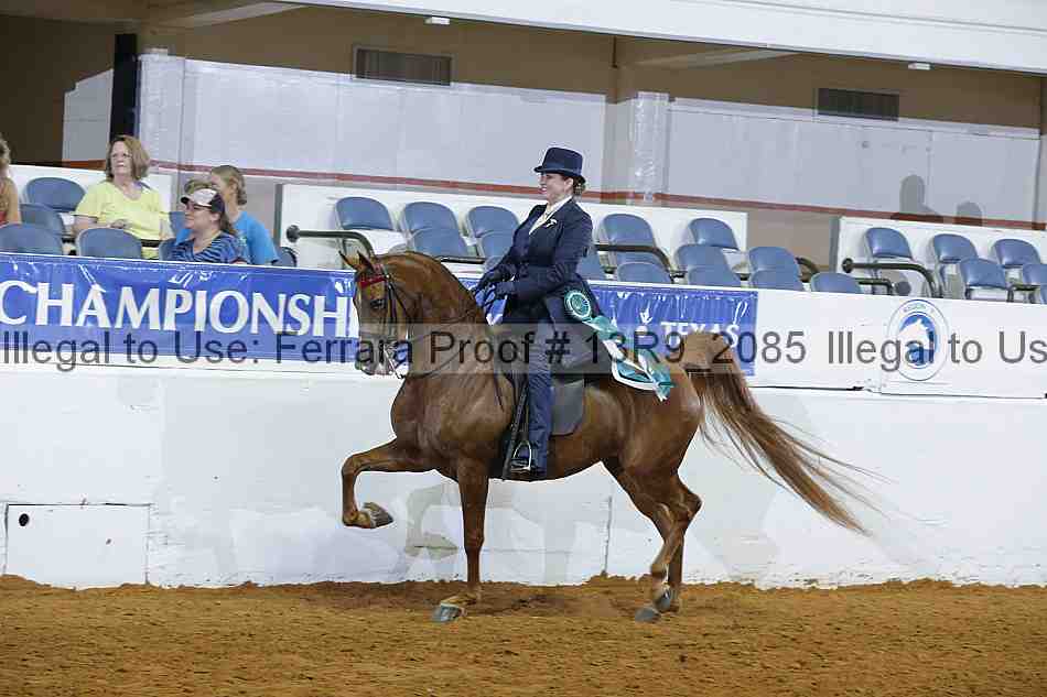 Proof Number 13r9_2085