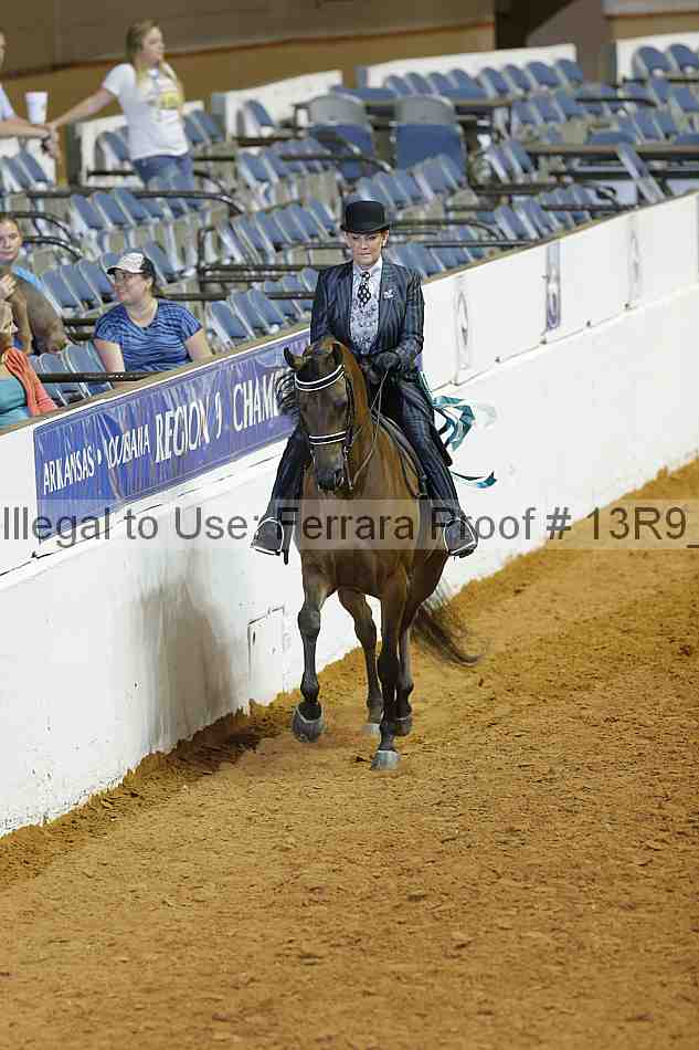 Proof Number 13r9_2086