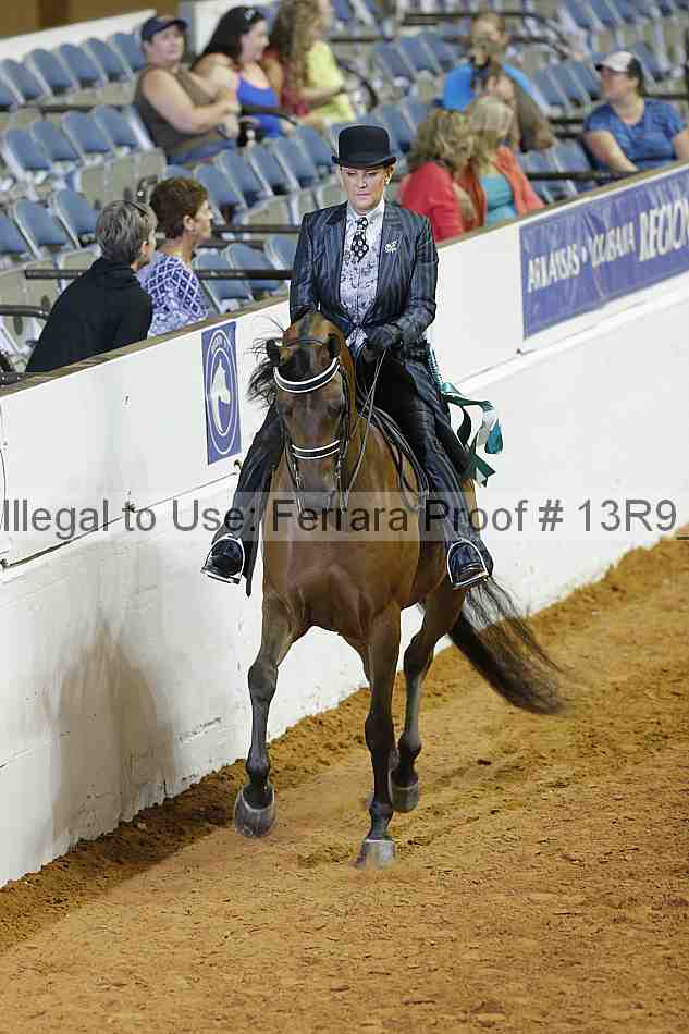 Proof Number 13r9_2087