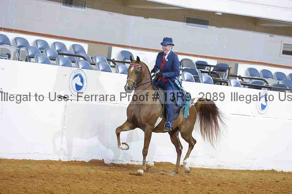 Proof Number 13r9_2089