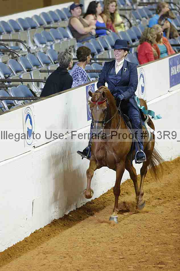 Proof Number 13r9_2090