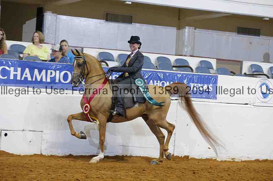Proof Number 13r9_2094