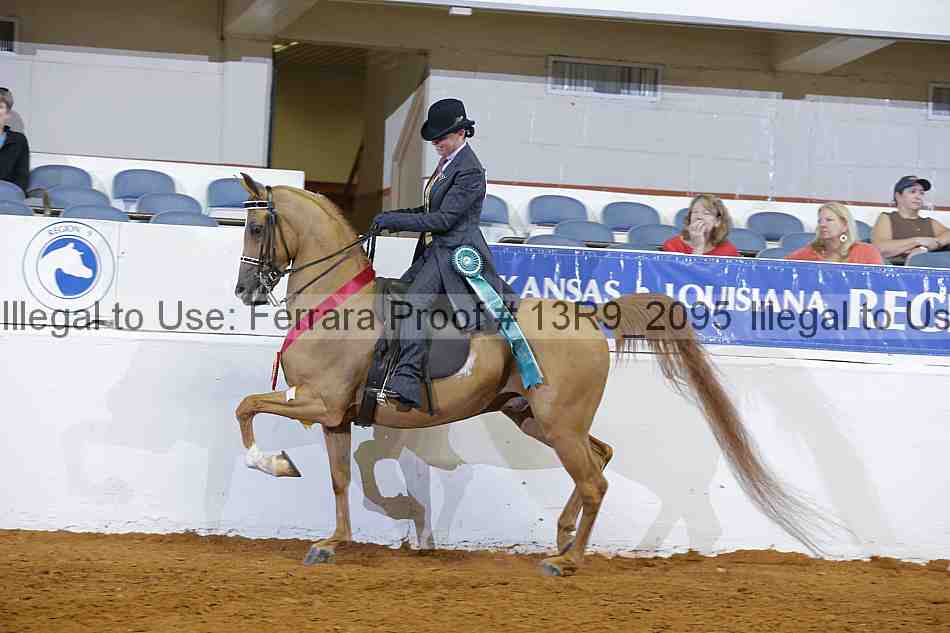 Proof Number 13r9_2095