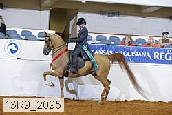 13r9_2095 thumbnail