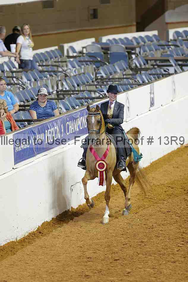 Proof Number 13r9_2096