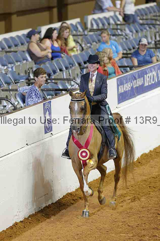 Proof Number 13r9_2097