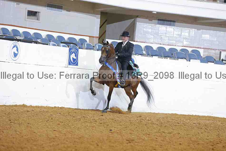 Proof Number 13r9_2098