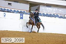 13r9_2098 thumbnail