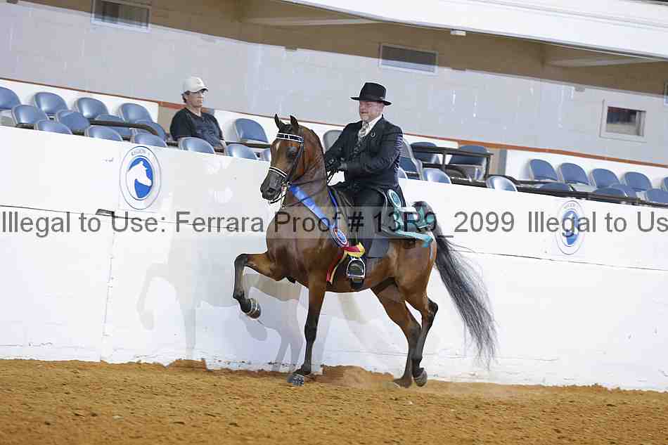 Proof Number 13r9_2099