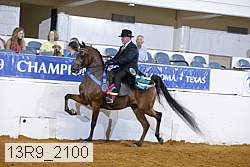 13r9_2100 thumbnail