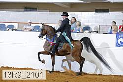 13r9_2101 thumbnail