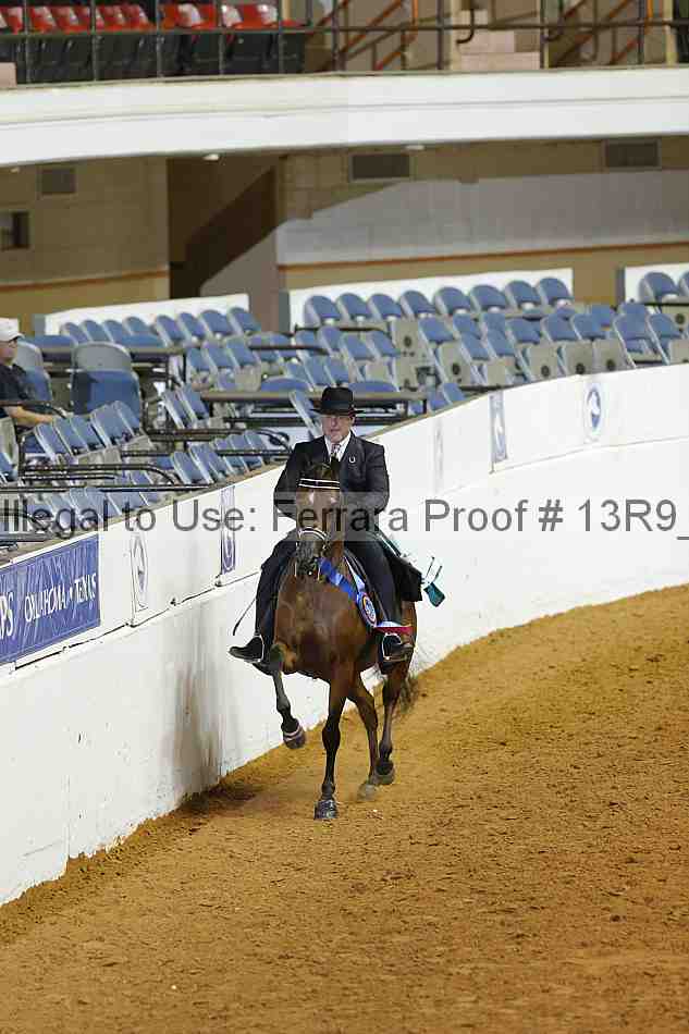 Proof Number 13r9_2102